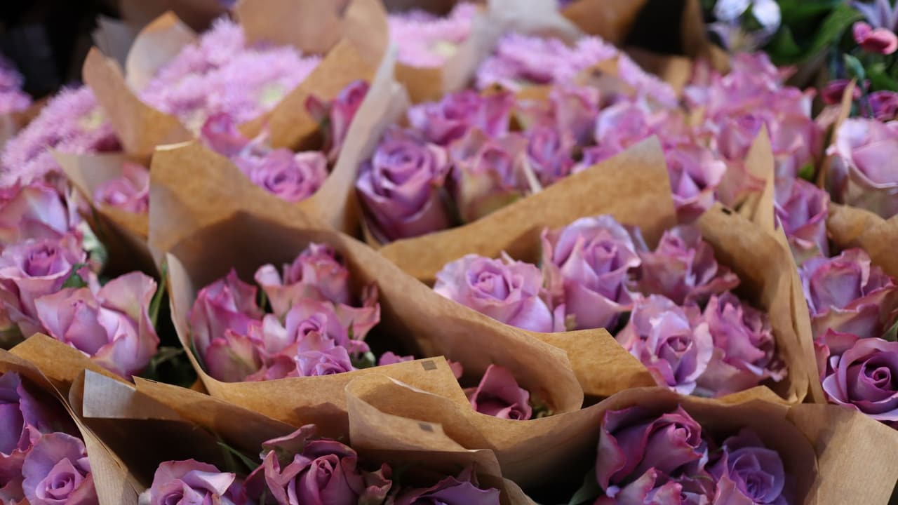 Stock photo: pink roses wrapped in paper as bouquets.